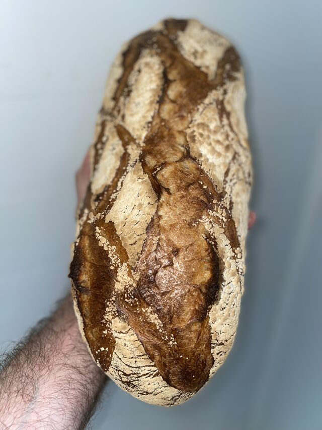 pain label rouge farine d'aquitaine au levain