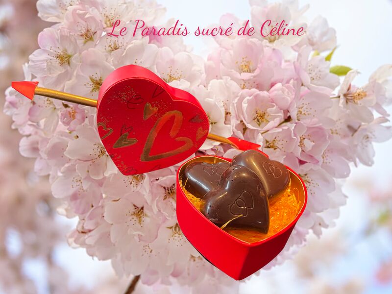 Chocolat gianduja Fait maison