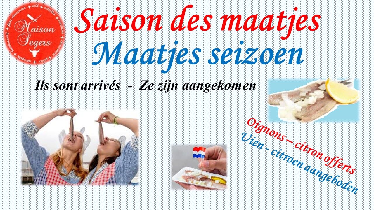 Maatjes
