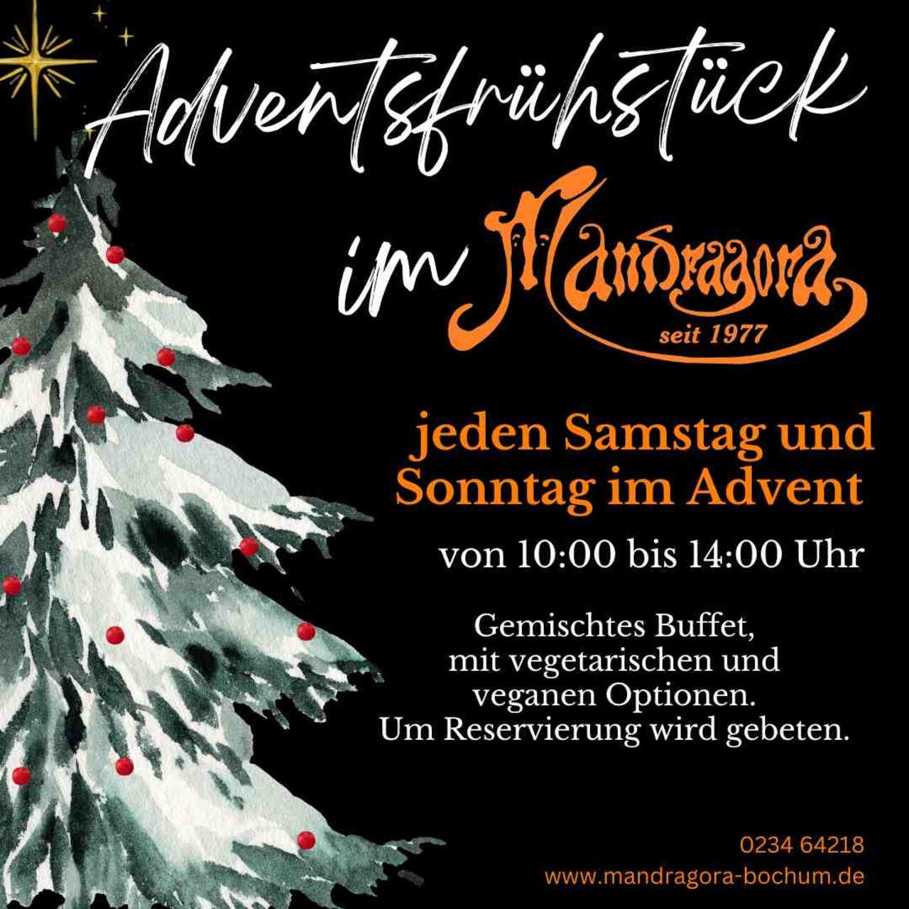Adventsfrühstück im Mandragora