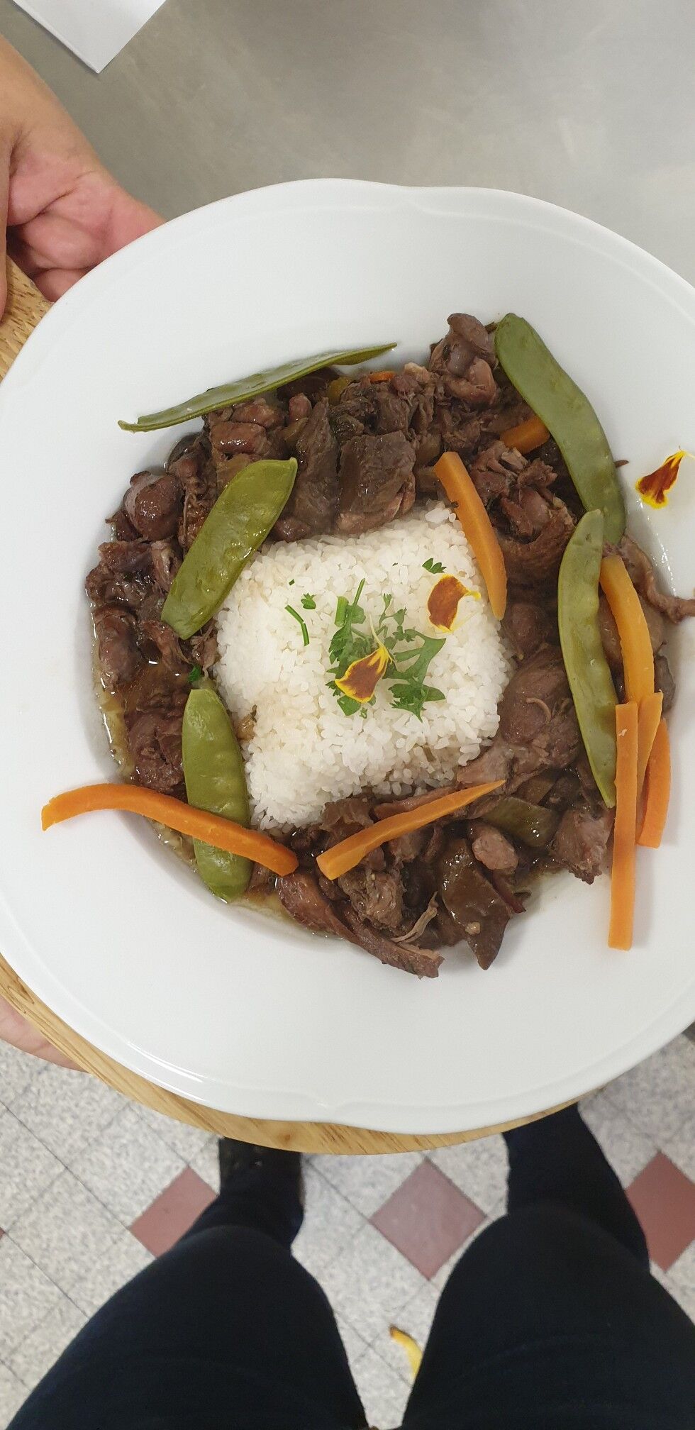 Bourguignon de canard