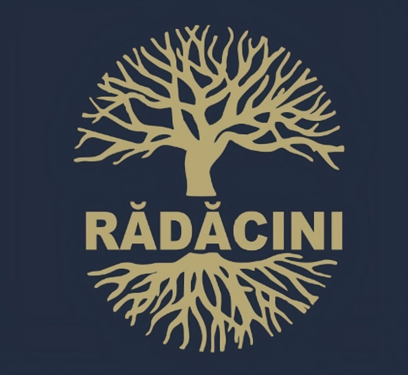 "Rădăcini" este mai mult decât un restaurant,