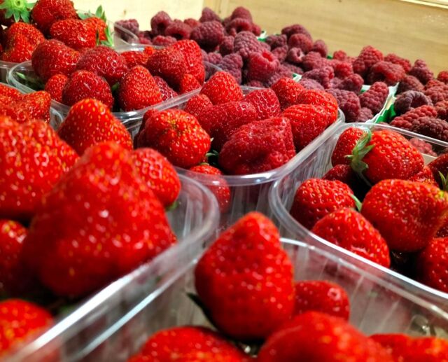 Fruitier du Mesnil - disponible selon la saison