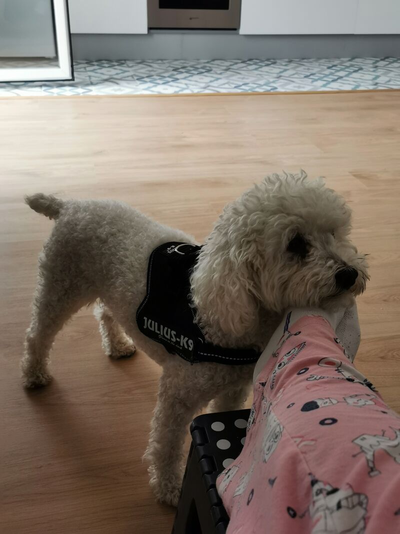 El siempre quiere Cariño 