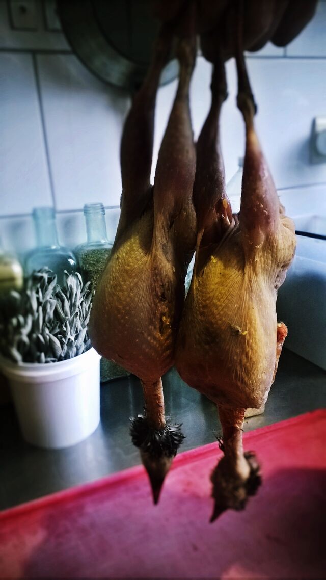 Gerookte kwartel in huis gerookt