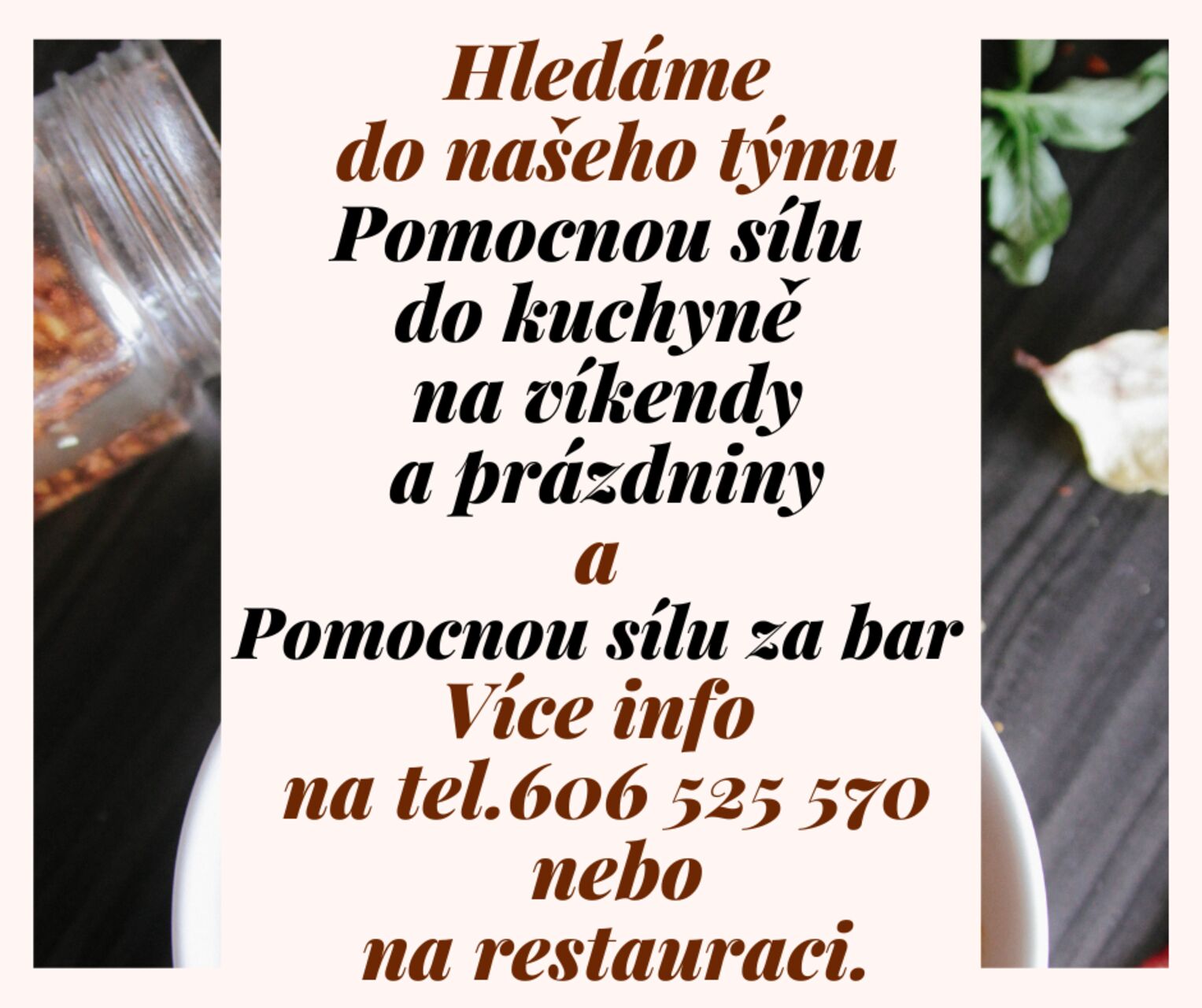 HLEDÁME VÝPOMOC :-)