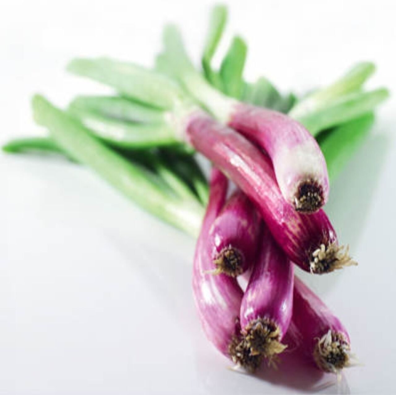 Oignons rouges botte d'Alsace - 1,54€