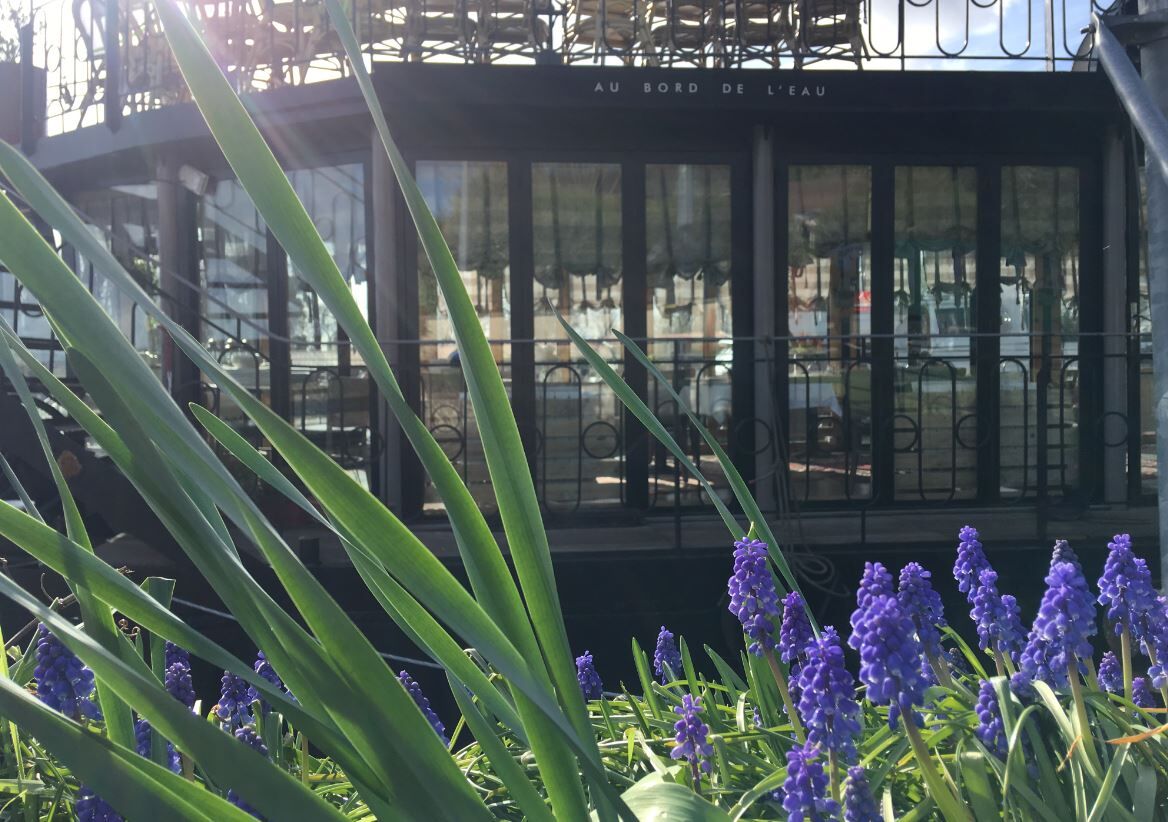 Un avant goût du printemps ...