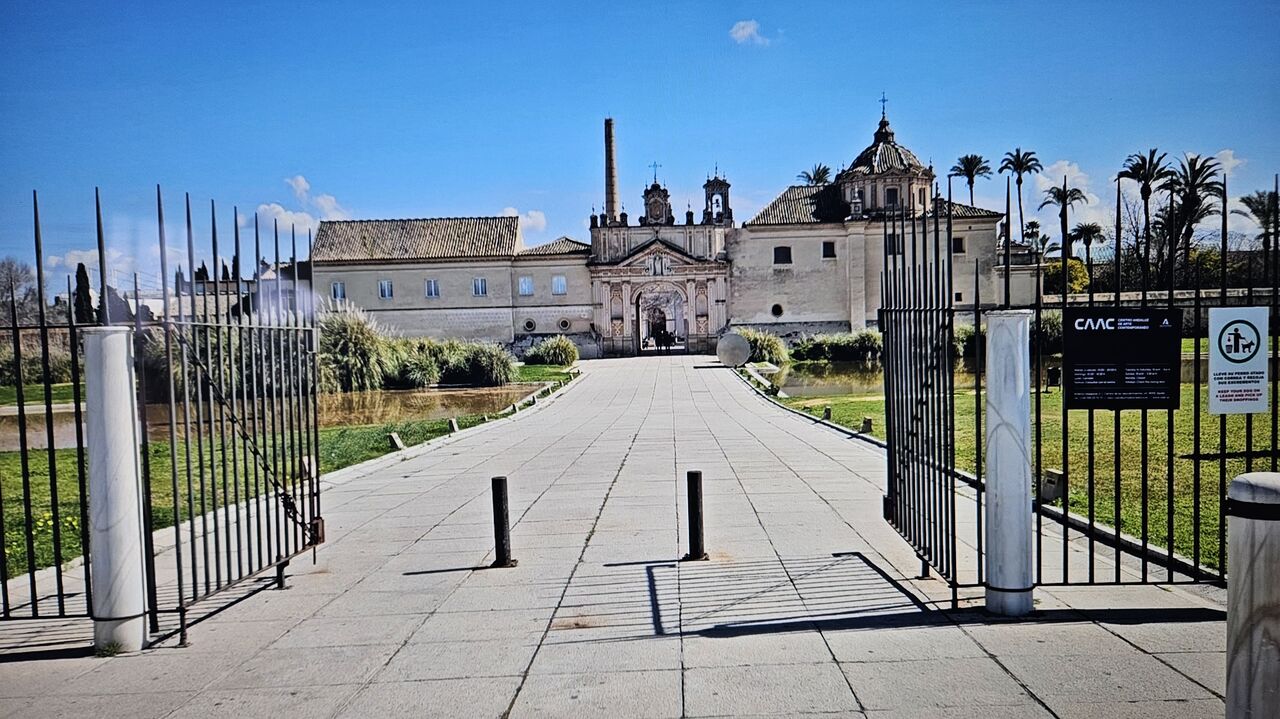 Acceso peatonal Alma Mater Terraza
