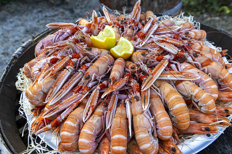 NOS LANGOUSTINES