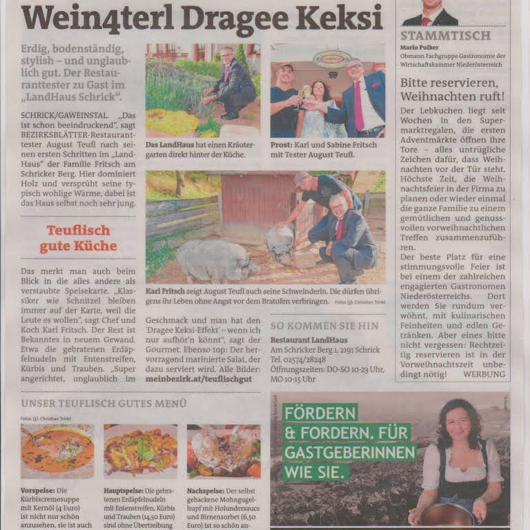 Zeitungsartikel