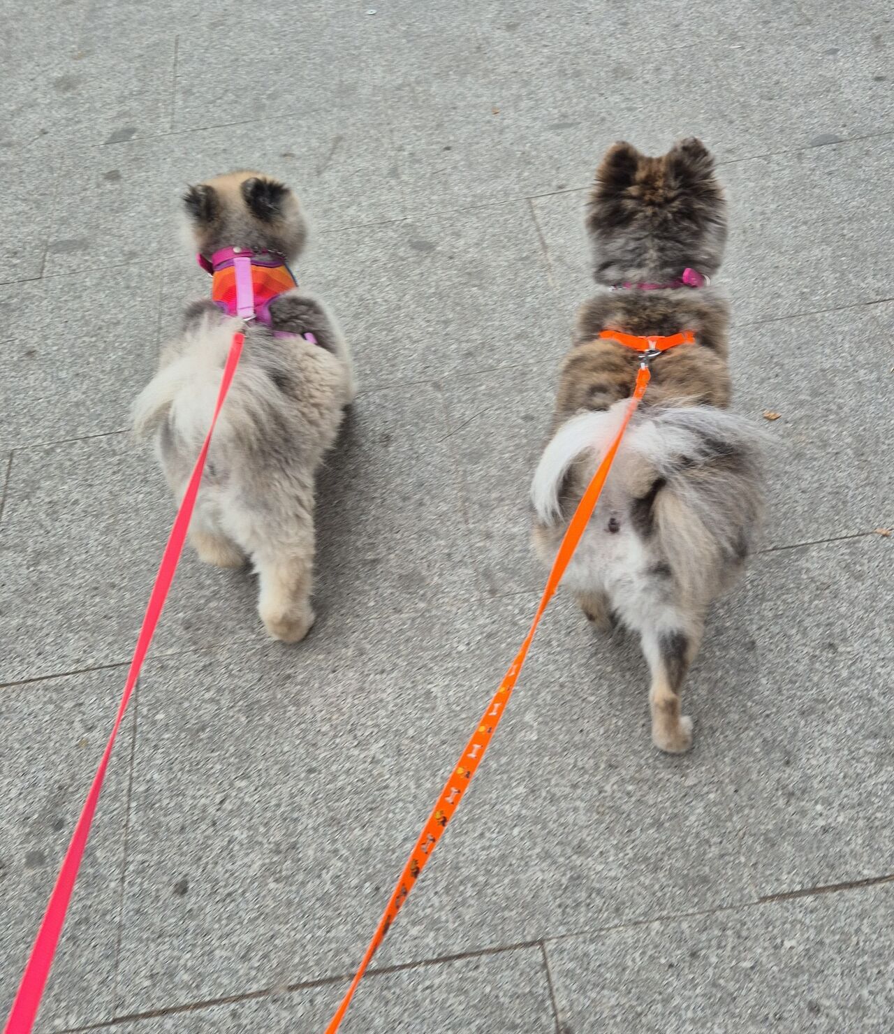 Cherry & Sophie 💕