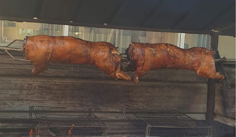 le plus jolie des cochons 