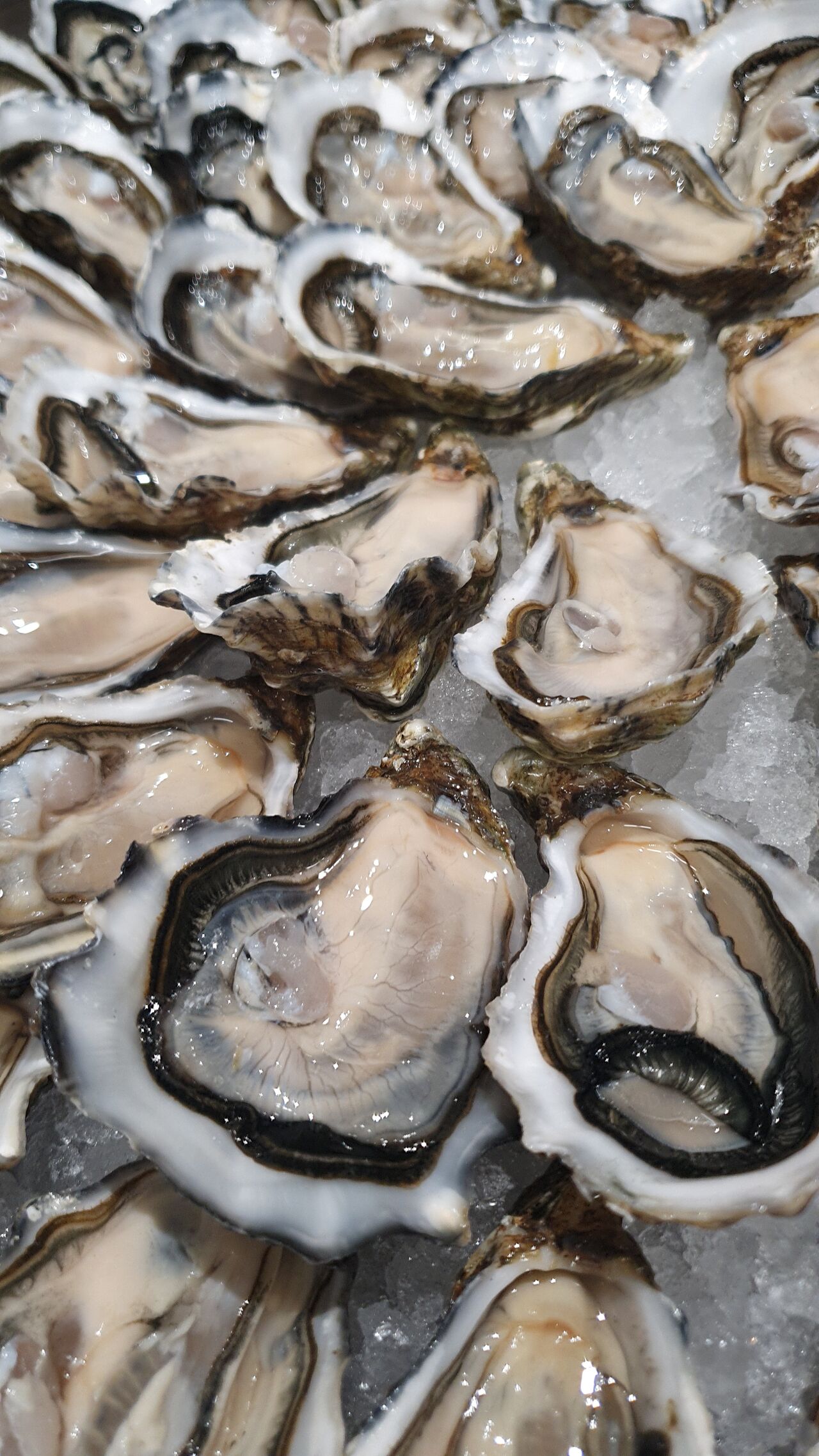 Nos huîtres 