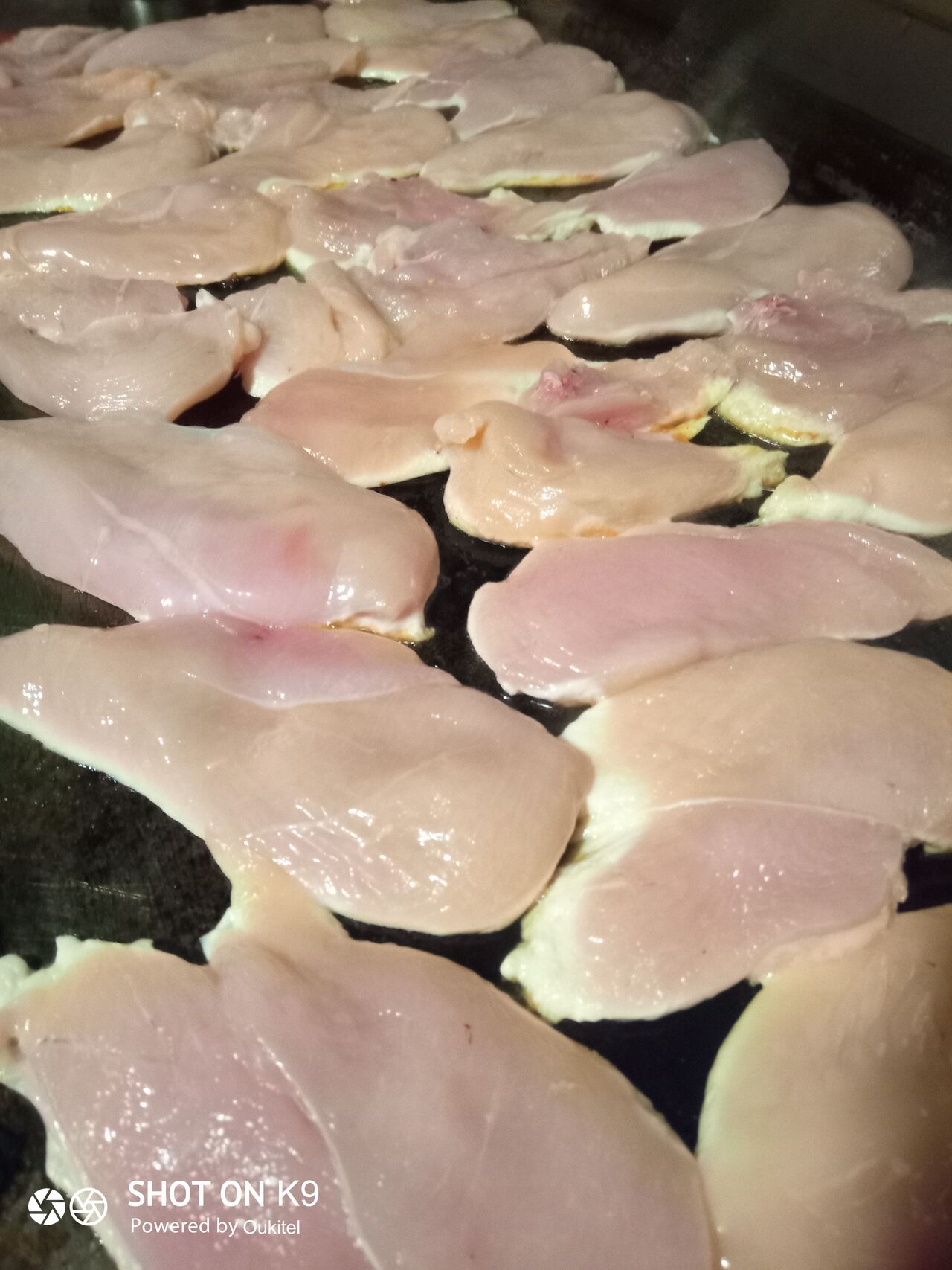 filet de poulet frais 