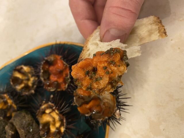 Ricci di Mare 