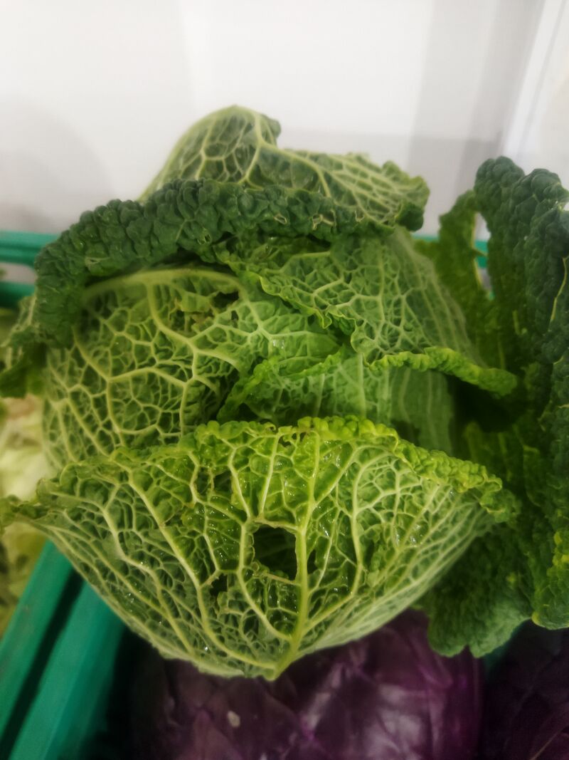 Choux frisé 2 € pce