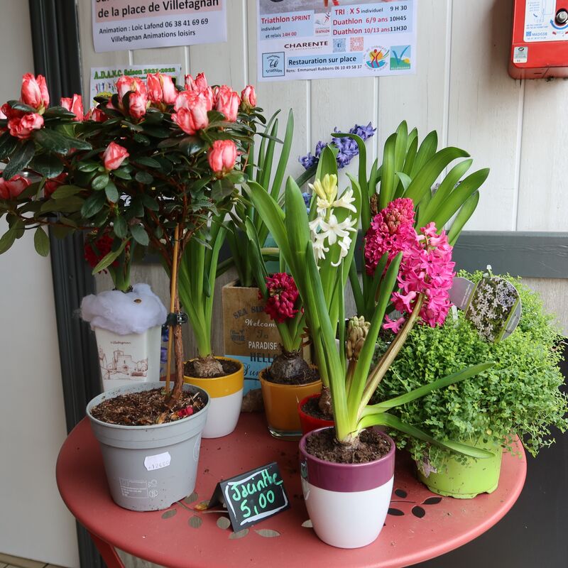 Un petit cadeau ? Une envie de fleurs ? Ô Comptoir de Maud est là !