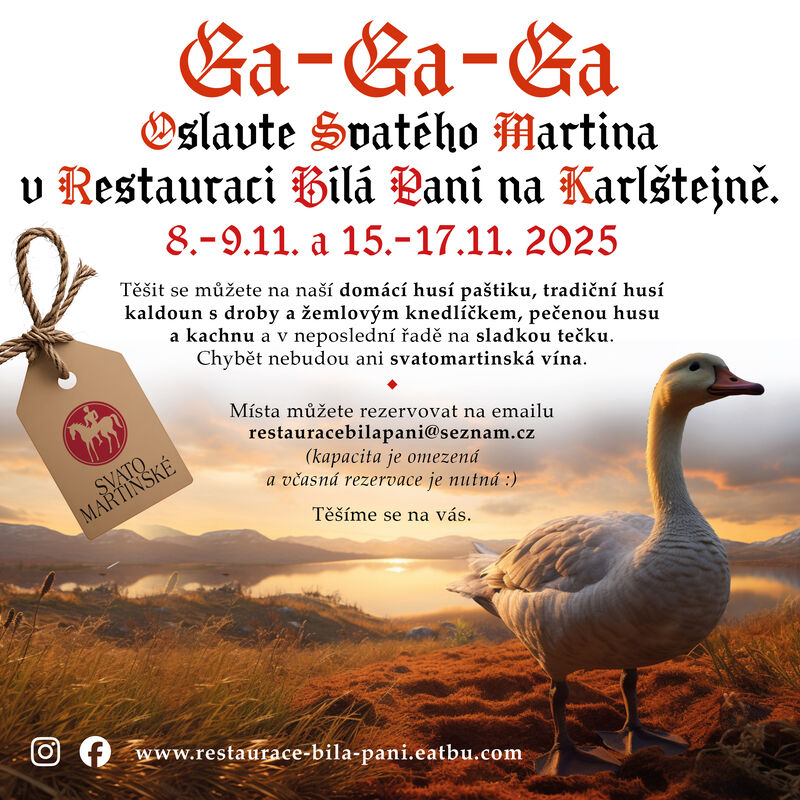 Svatomartinské hody 