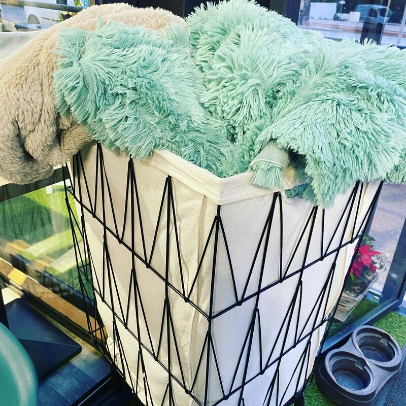 La terrasse n'est pas chauffée, mais nous avons des plaids tout doux!!