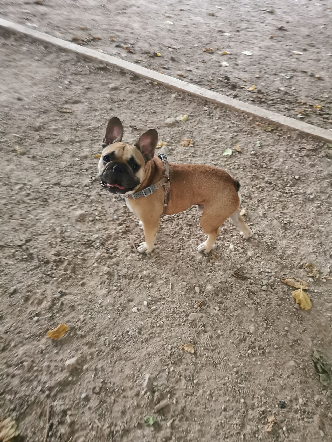 A Richie le encanta el parque 😋