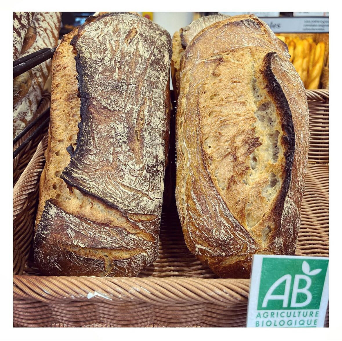 LA BUCHE SEIGLE LEVAIN BIO