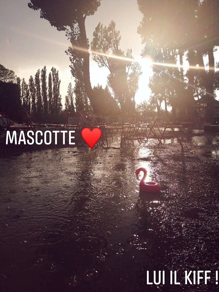 Merci Electroday Festival de nous avoir fait confiance pour votre première édition !