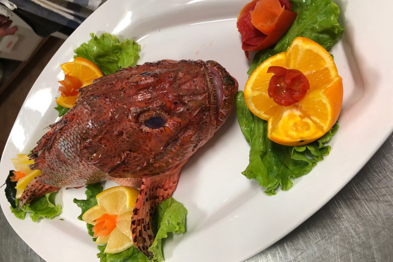 Adriatic fish