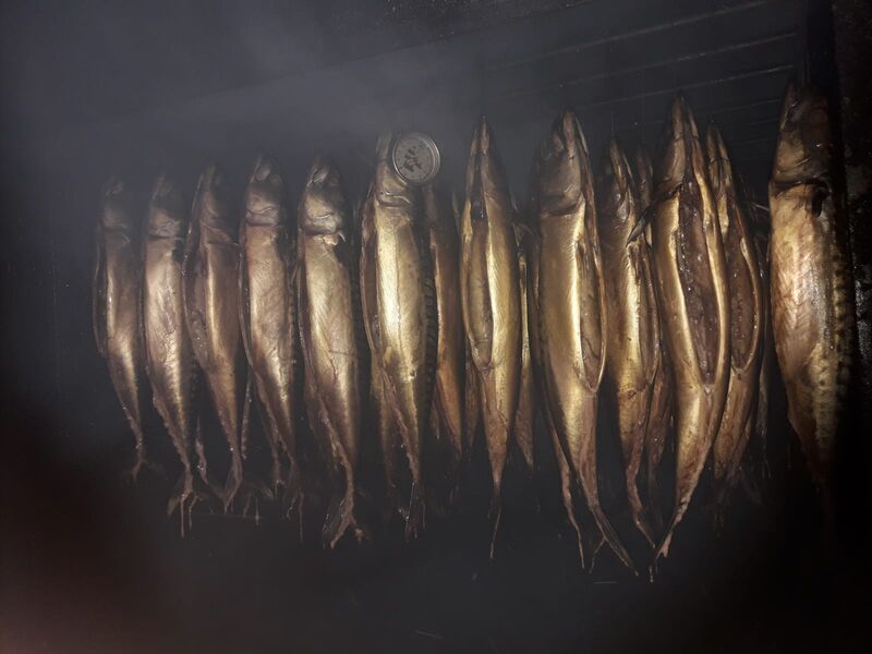 frisch geräucherte Forellen