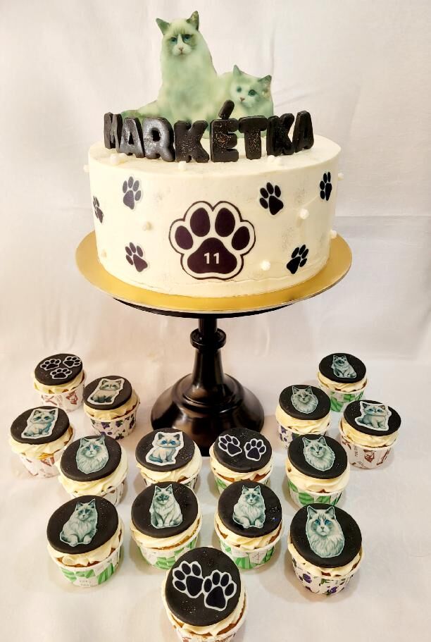 Dort s kočičkami a caupcakes