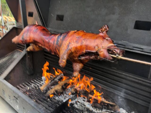 Zwijntje op de bbq aan spit