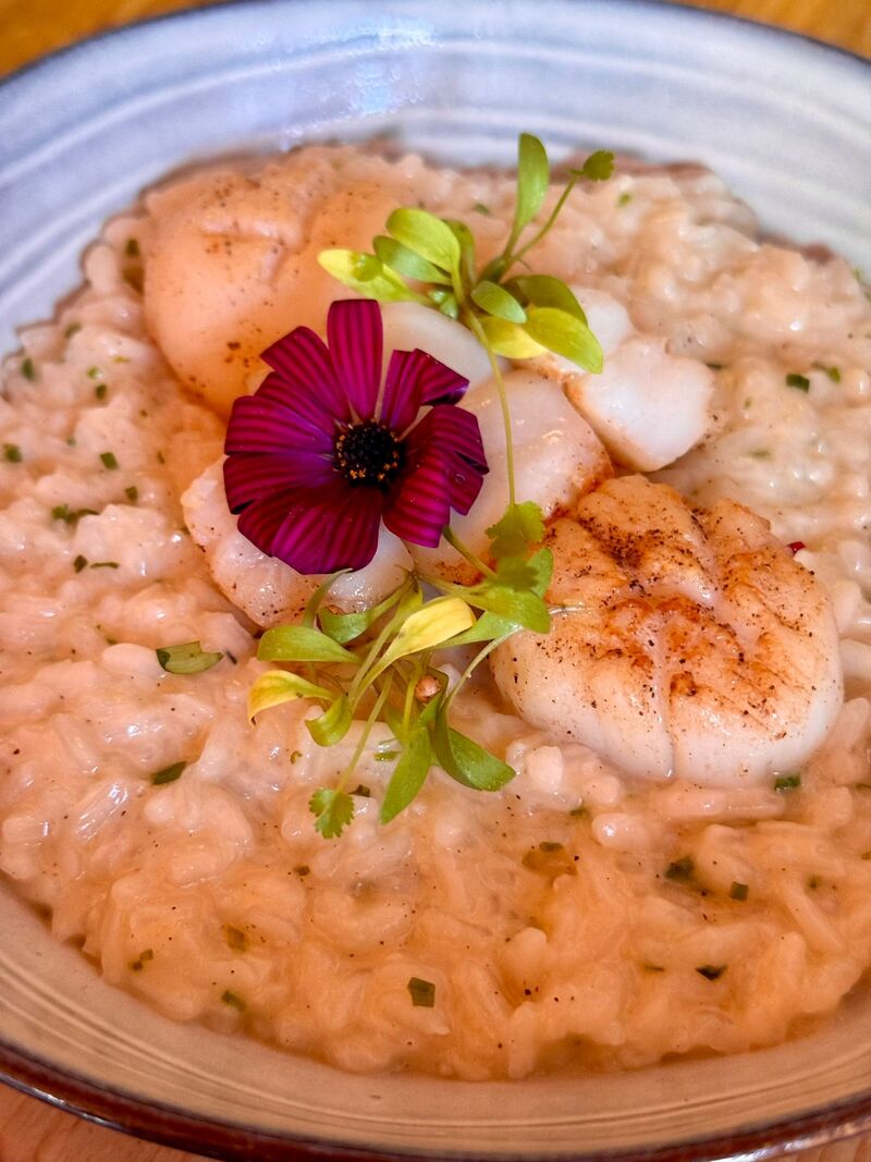 Risotto Lima e Vieira 