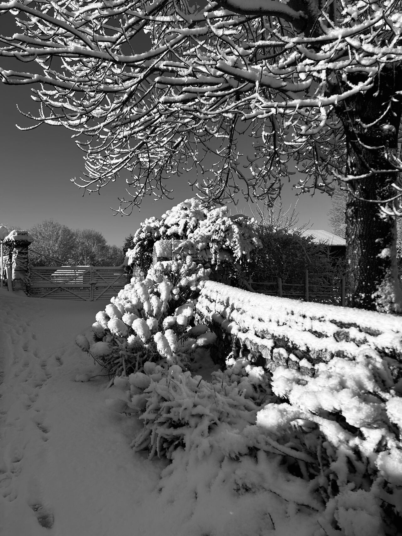 La Charente maritime sous la neige