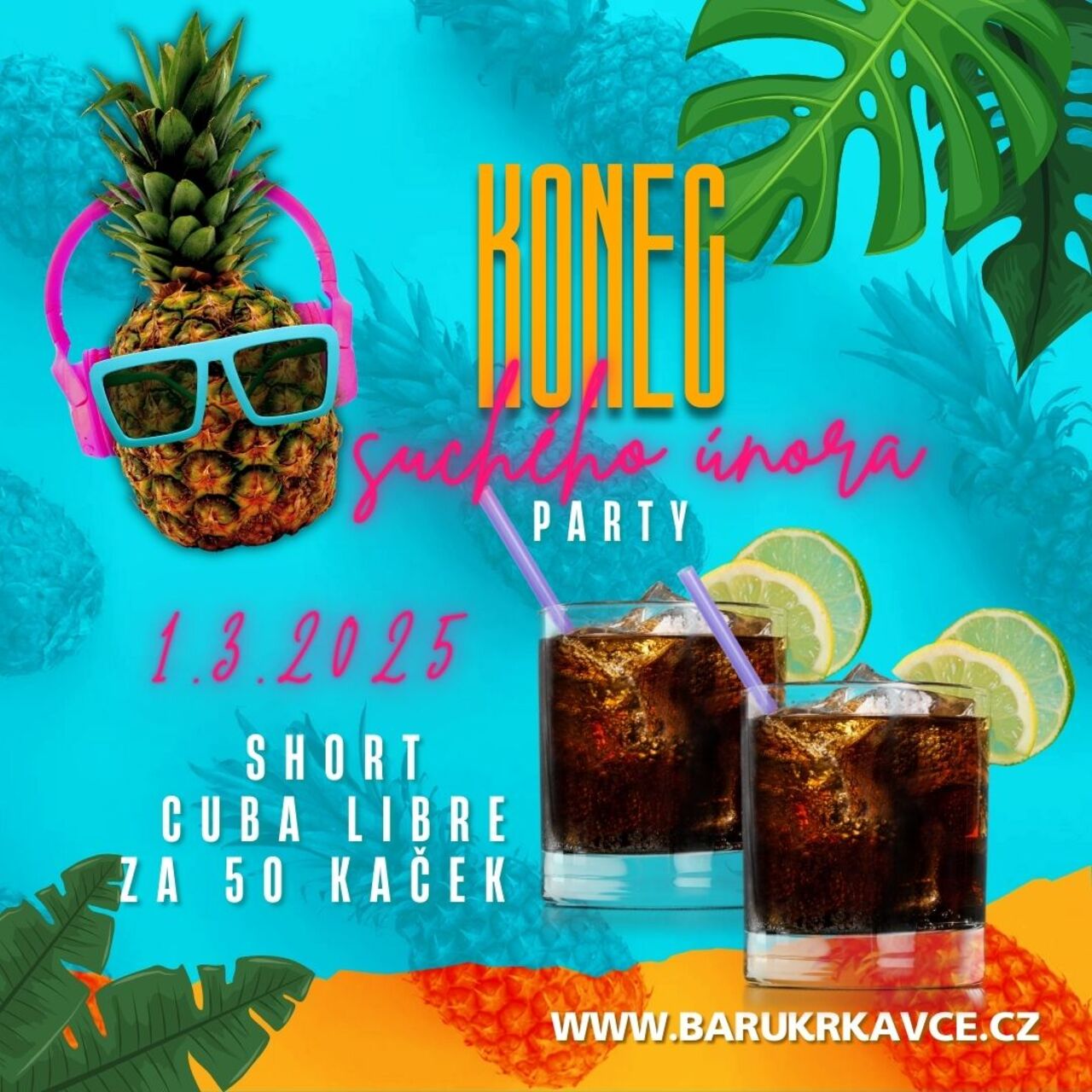 AKCE 25 🆗 1.3.2025 Konec suchého února párty