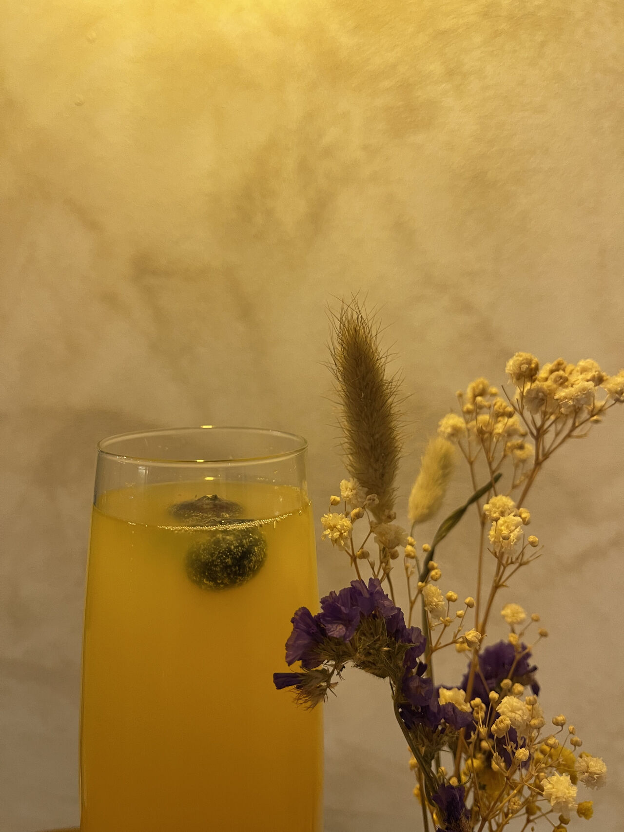 Mimosa