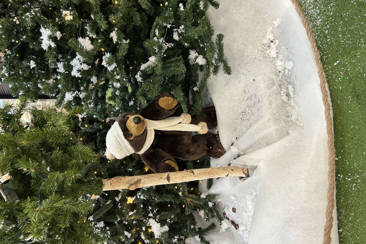 Fermeture de Noël 2022