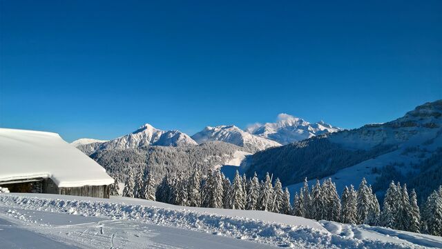 Le plateau du Cuvy face au Mont-Blanc ; accessible par le télésiège du Grand-Mont à Arêches