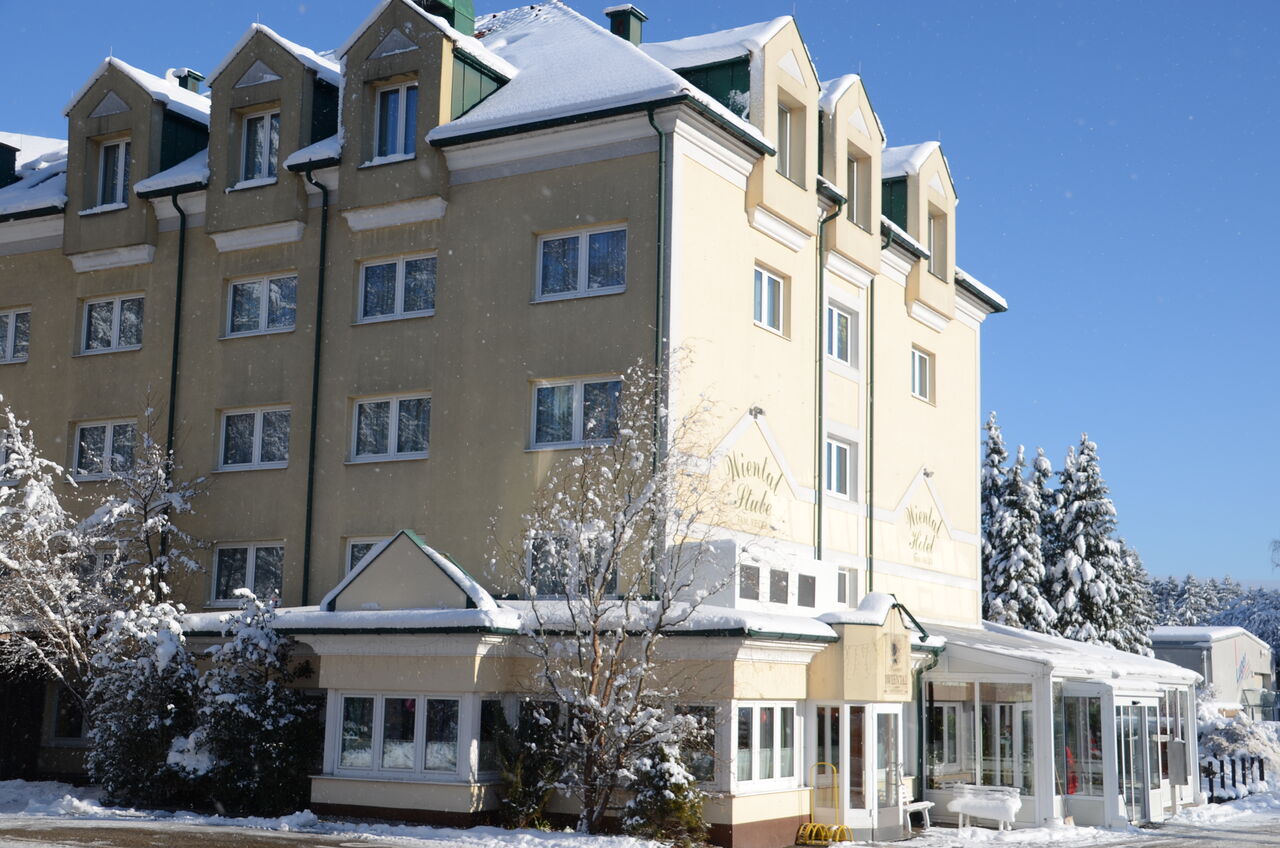 Winter im Wienerwald