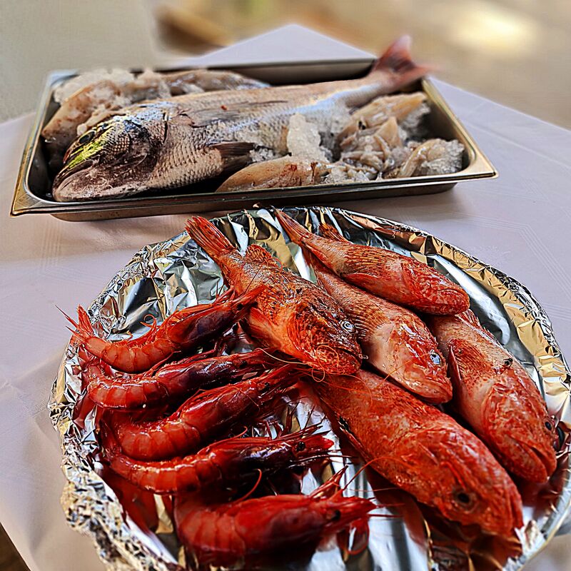 Escorpas, gamba roja de primera, sama y calamar de bahía... Producto fresco diario