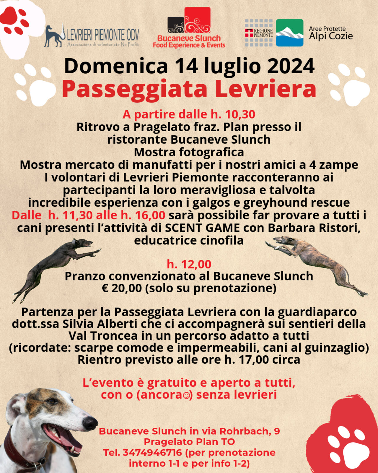 Passeggiata Levriera