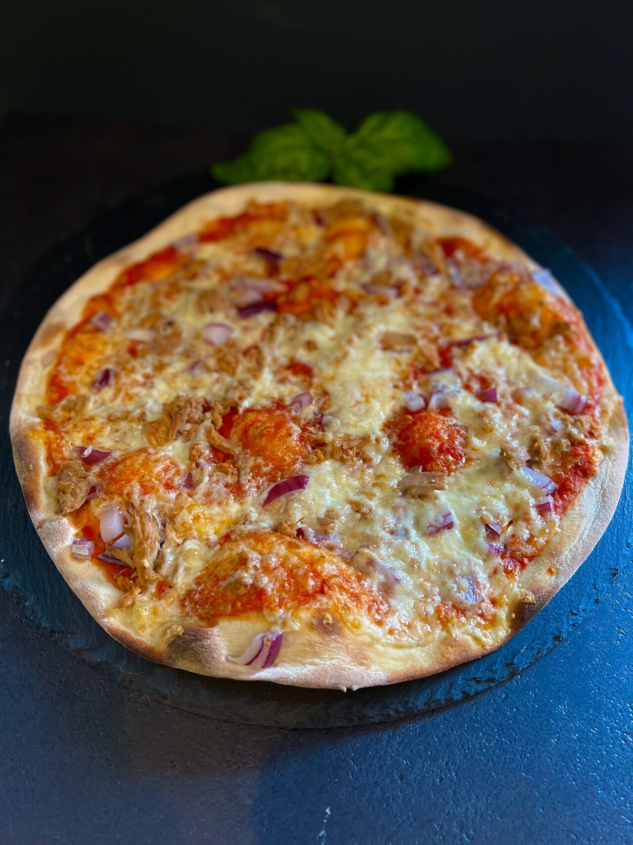 5. Tonno con Cipolle
€9,40
Ø 32cm
(A D C L)
Tomatensauce, Thunfisch, roten Zwiebeln und Goudakäse