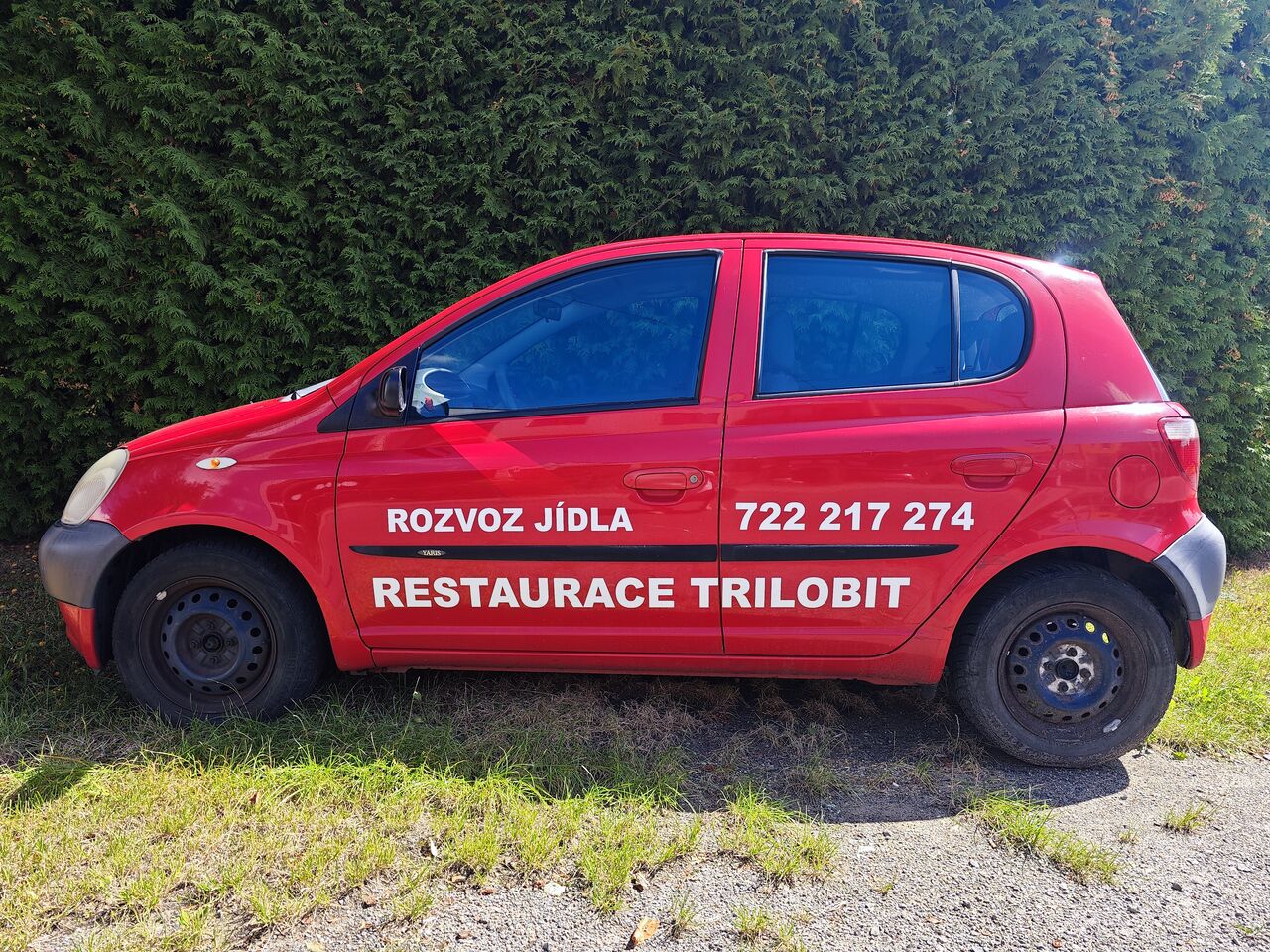 ROZVOZY DENNĚ 16:00 - 20:00