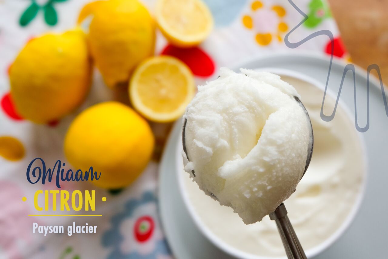 Sorbet Citron jaune plein fruit 