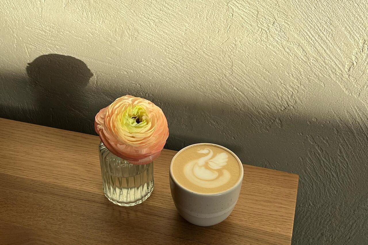 Top-5 przyczyn, dla czego warto się wybrać Culture Cafe