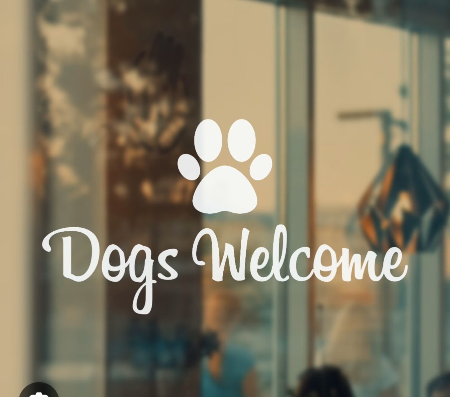 Hunde 🐕 sind willkommen 🦮