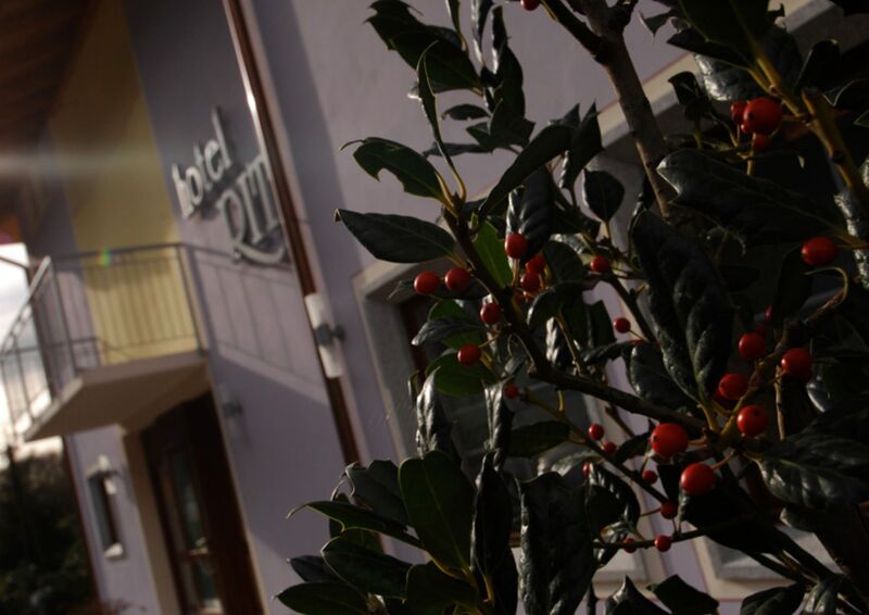 Hotel Da Rita. Il giardino e gli esterni