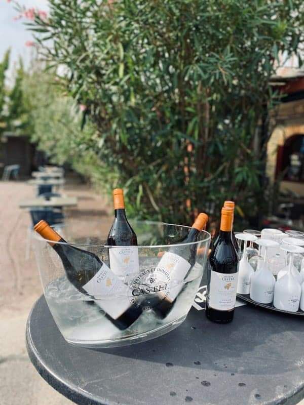- Dégustation vin Castel -