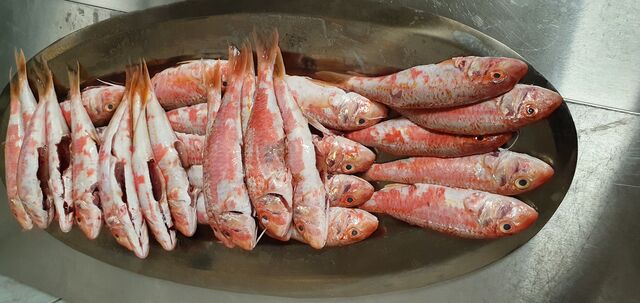 Spécialisés dans les fruits de mer et le poisson, voici un parfait exemple du poisson frais que nous proposons.