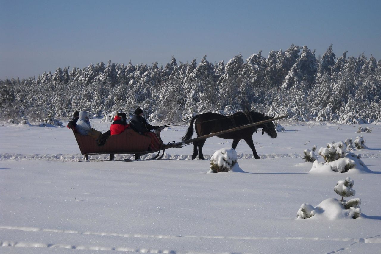 BIESIADA KARNAWAŁOWA W "ZACZAROWANYM LESIE"