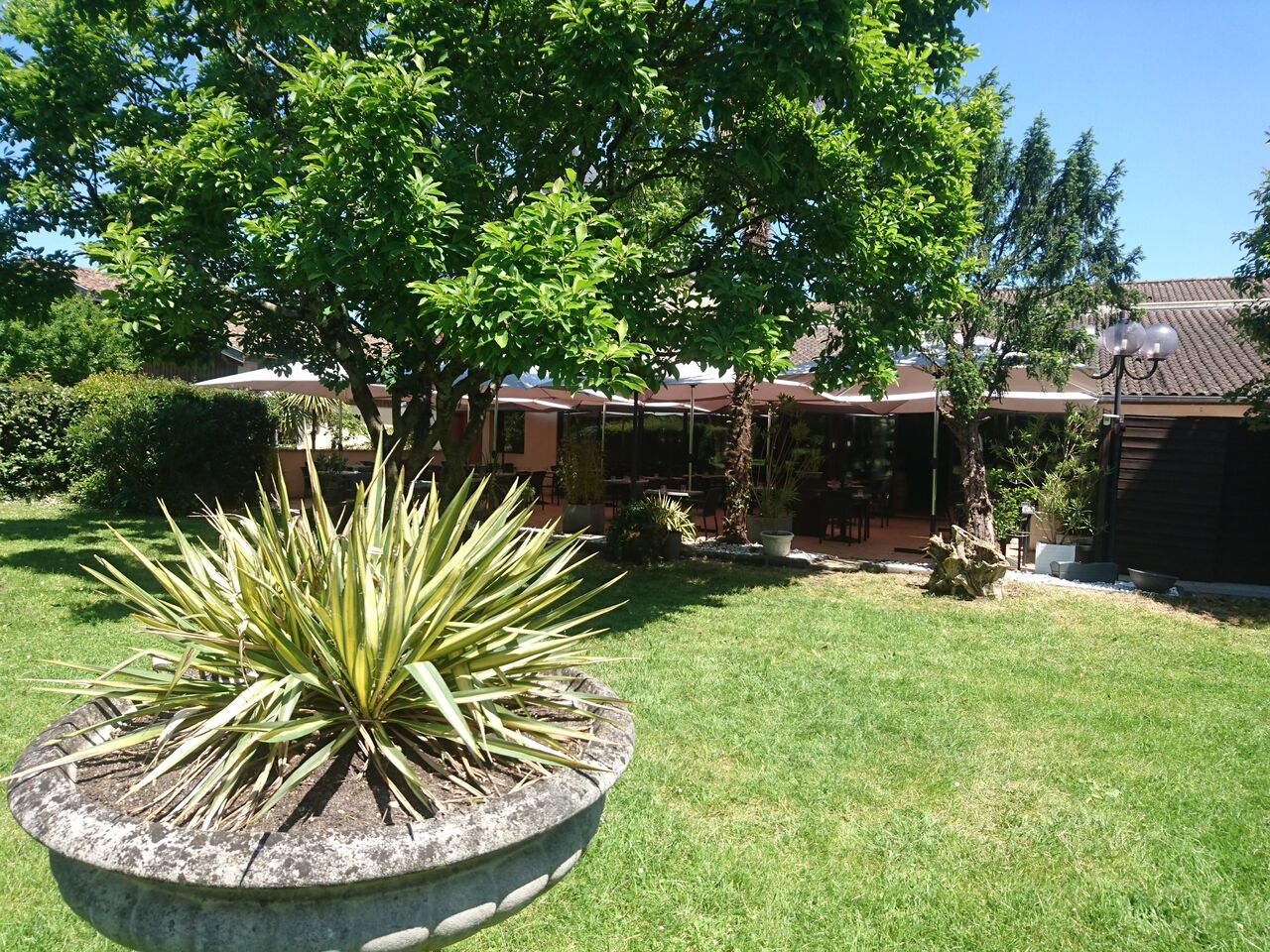 Jardin